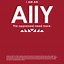 Image result for Ally Poster