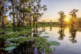 Image result for Louisiana Landscape Photos