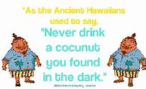 Image result for Funny Hawaiian Sayings