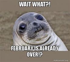 Image result for Memes for February