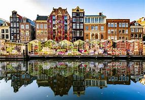 Image result for Flower Market Netherlands