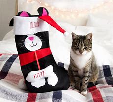 Image result for Cat in Christmas Stocking