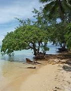 Image result for Southern Pacific Islands From Samoa and Tonga