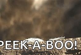 Image result for Peek A Boo Baby Meme