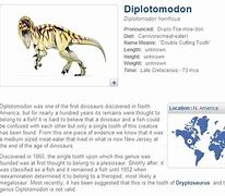 Image result for diplotomodon