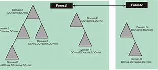 Image result for What Is Forest in Active Directory
