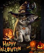 Image result for Happy Halloween Kitty Cat