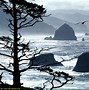 Image result for Oregon Coast Wallpaper