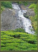 Image result for Tara Waterfall Tea Hotel Photos