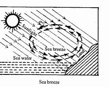 Image result for Blank Sea Breeze Diagram