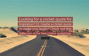 Image result for Witty Cricket Quotes