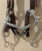 Image result for Bits for Horses