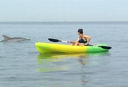 Image result for Mini Dolphin Kayak