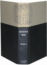 Image result for Invisible Man Book