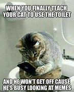 Image result for Cat Using the Toilet Meme