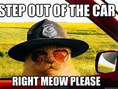 Image result for Officer Cat Meme