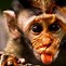 Image result for Monkey