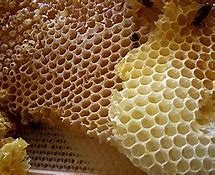 Image result for Local Honey