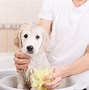 Image result for Dog Taking Bath