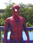 Image result for Spiderman Costumes