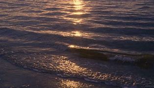 Image result for Glowing Ocean Water at Night
