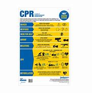 Image result for CPR Recording Form