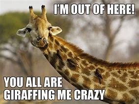 Image result for Giraffe Neck Meme