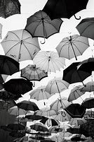 Image result for Black and White Rain Umbrella