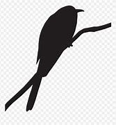 Image result for Cuckoo Emoji