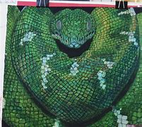 Image result for Green Snake Drawing
