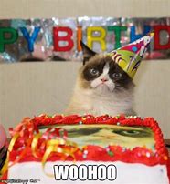 Image result for Pizza Cat Birthday Meme