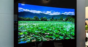 Image result for 70 Inch 4K OLED TV