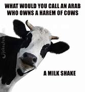 Image result for Rock Face Cow Meme