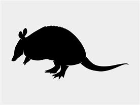 Image result for Simple Armadillo Silhouette