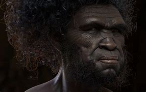 Image result for Homo Sapiens Idaltu