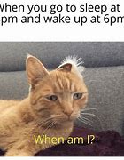 Image result for Wake Up Cat Meme