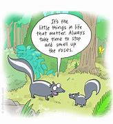 Image result for Funny Animal Cartoon Memes