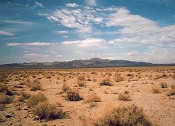 Image result for Scottsdale Arizona Desert