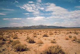 Image result for South West Desert
