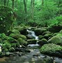 Image result for 1280X720 Nature Wallpaper