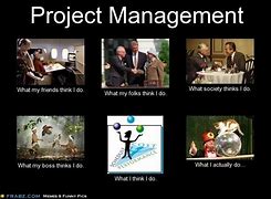 Image result for PMO Consultant Memes