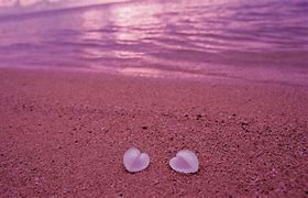 Image result for Pink Sand Beaches
