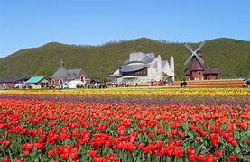 Image result for Hokkaido