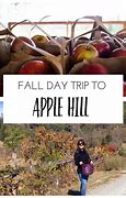 Image result for Apple Hill Camino CA