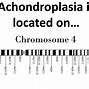 Image result for Achondroplasia Punnett Square