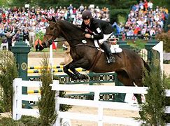 Image result for Show Jumping Horse Pics