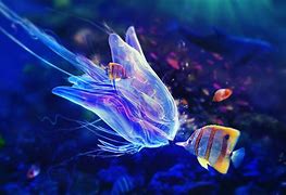 Image result for Colourfull Fish iPhone Wallpaper
