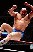 Image result for Iron Sheik Wrestler