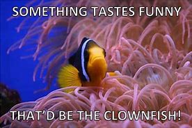 Image result for Sick Fish Puns