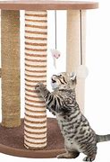 Image result for Cat Scratch Pole